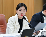 김혜지 시의원,  서울시 차선도색, 안전 위해 우천 시 기준 적용해야