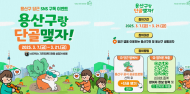 용산구, 당근 계정 열고 소통 시작