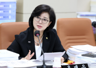 옥재은 시의원,  ‘서울특별시 세운녹지축 조성․관리 및 지원에 관한 조례안’ 본회의 통과