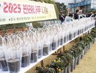용산구, 제80회 식목일 기념 반려나무 나눔