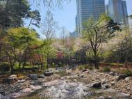 용산구, 기와터근린공원, 노후 연못에서 생기 넘치는 물길로