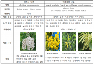 축산물품질평가원... 아카시아꿀(X) 아까시꿀(O)”  바로 알고 먹어야 ‘꿀맛’