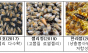 농촌진흥청 국립농업과학원, 12일 지자체 꿀벌자원육성지원센터 5개소에 젤리킹 원원여왕벌 공급