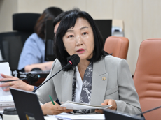 이영실 시의원, 한강은 실험실이 아니다... 한강버스, 충분한 시범 운항 없는 정식운항 강력 비판