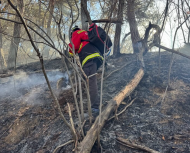 산림당국 충북 괴산 산불 진화 완료