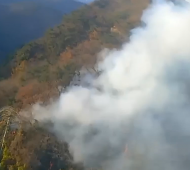 산림당국 경기 군포 산불 진화 완료