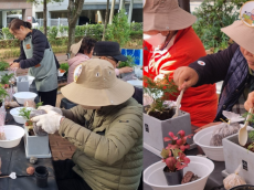 “한겨울, 어르신 손끝에서 피어난 초록 이야기” 은평구, 반려식물 작품 전시회 개최