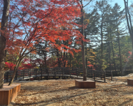 강북구, ‘우이령공원’ 1단계 조성 완료... 12월 17일 개장