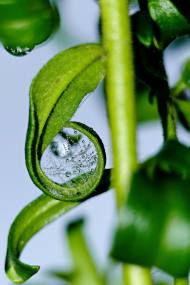 환경을 생각한 소비 가격은 왜 더 비쌀까? 달라질 수 있을까 