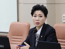 최재란 시의원 “광화문 LED 옥외광고물 난립에 시민들 피로감 호소…특혜 시비·빛공해 기준 강화”주문