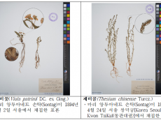 국립생물자원관, 12월 30일 고해상도 디지털 식물표본 1만 2천여 점 누리집 공개