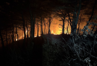 강원 고성 산불발생... 산림당국 완료