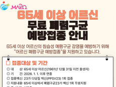 마포구, 어르신 폐렴구균 예방접종 지원...폐렴구균 예방접종 1회 무료 지원