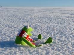 최강 한파 예고…동상 걸렸을 때 대처 방법은?