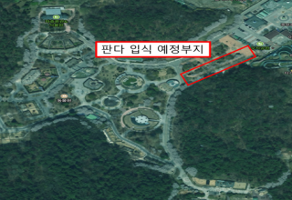 판다 오면 국민 곁으로… 기후부 장관, 광주 우치동물원 현장 점검