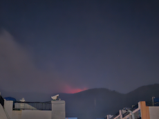 부산 동래구 사직동 산불 진화 완료