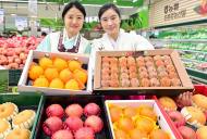 농협유통 하나로마트...병오년 설 선물은 과일 세트 추천