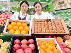 농협유통 하나로마트...병오년 설 선물은 과일 세트 추천