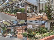 “행정 공간에 숲을 들이다“… 은평구, 청사 로비 ‘어울림(林) 라운지’로 새단장