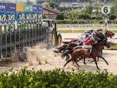 2월 20~22일 설 연휴 경마 휴장… 27일 경마 재개