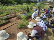 “도심 속 금싸라기 땅, 텃밭 ”  …영등포구, ‘문래동 도시텃밭’ 참여자 모집