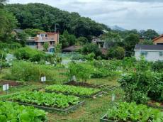 강북 도시농업 체험장 환경텃밭 분양
