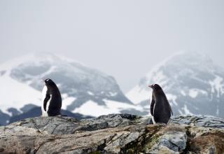 남극 기온 상승에 녹는 빙하…2026년 현재는?