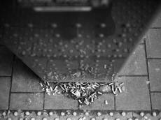 “하수구는 재떨이가 아닙니다”…버린 꽁초, 결국 ‘침수’로 돌아옵니다