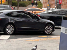 인간·야생동물 갈등 10년 새 60%↑…도심까지 확산