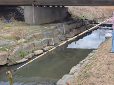 박춘선 시의원, 이음하천 살리기 본격 시동… “이음하천 광역협력 환경사업”