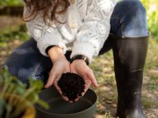 심는 것보다 지키는 것이 먼저! ‘나무’의 가치 