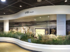 ‘쓰레기 산’에서 ‘친환경 생태공원’으로…‘난지도 이야기관’ 재개관