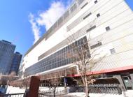 유럽의 탄소 규제, 우리나라 IT 기업의 'AI 전략' 흔든다