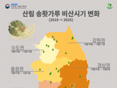 기후변화로 앞당겨지는 송홧가루 비산...개인 대응 넘어선 관리 필요성 제기