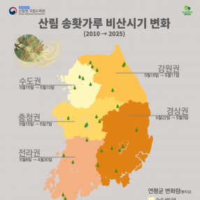 기후변화로 앞당겨지는 송홧가루 비산...개인 대응 넘어선 관리 필요성 제기