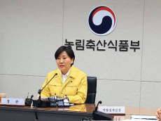 폭염·폭우에 배추값 흔들릴까…정부, 작년보다 한발 앞선 여름배추 안정대책 가동