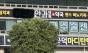"백내장 환자 33만 명 시대"… 흐려지는 시력 지키는 '3대 방어선'