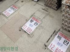 [기획] 반복되는 농산물 물가 파동…계란·대파값 치솟은 뒤에야 대책